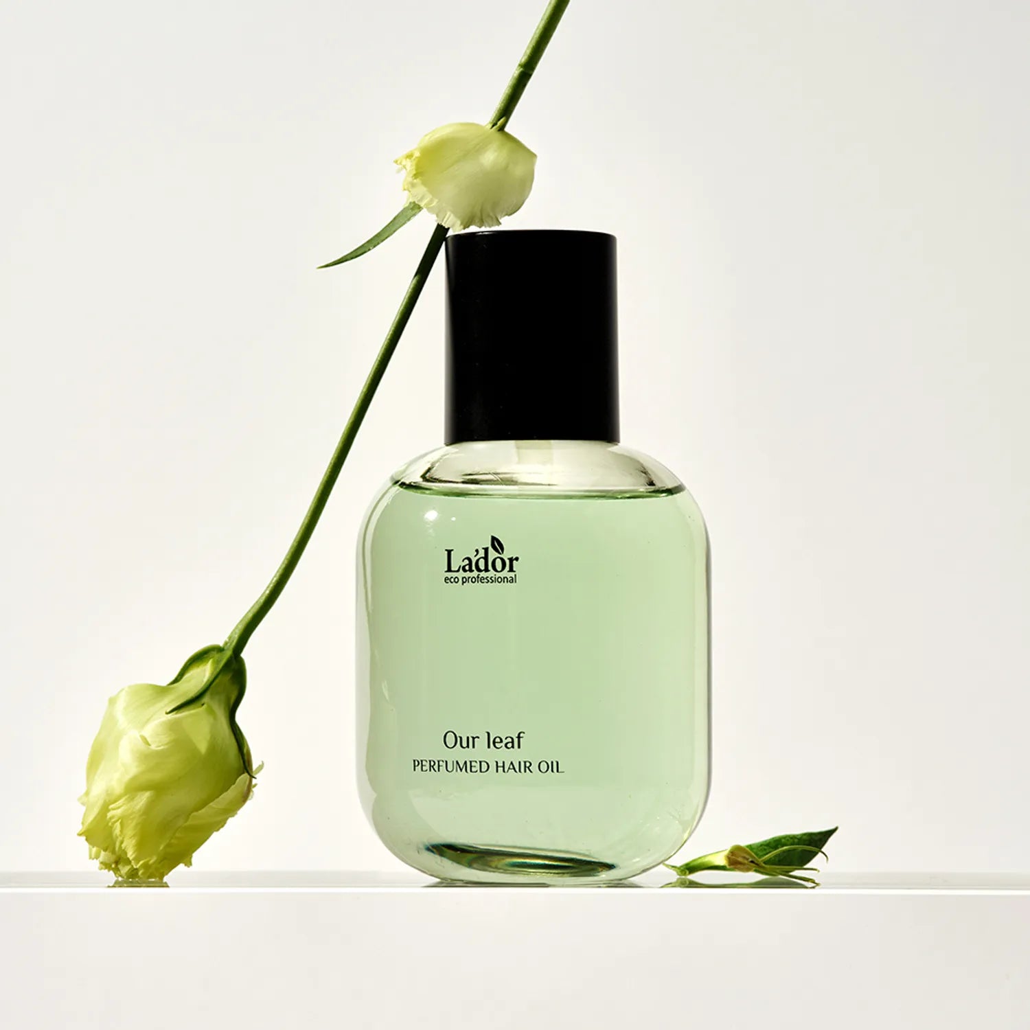 LADOR Perfumed Hair Oil (Our Leaf)