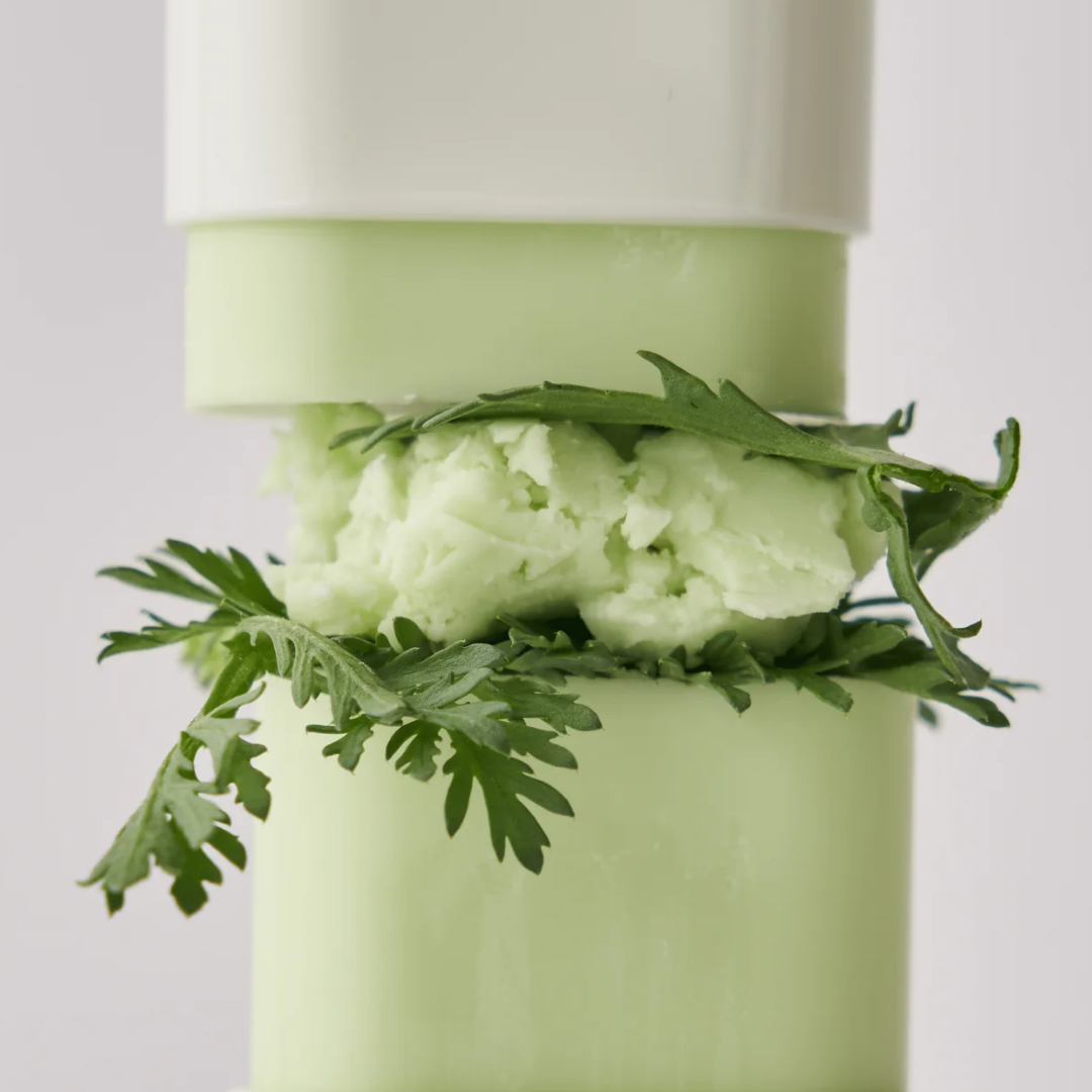 BEAUTY OF JOSEON Matte Sun Stick Mugwort&Camelia SPF50+