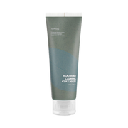 MHD / EXP ISNTREE Real Mugwort Clay Mask