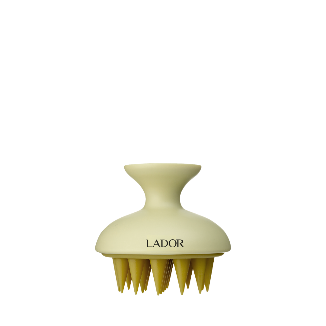 LADOR Dermatical Shampoo Brush
